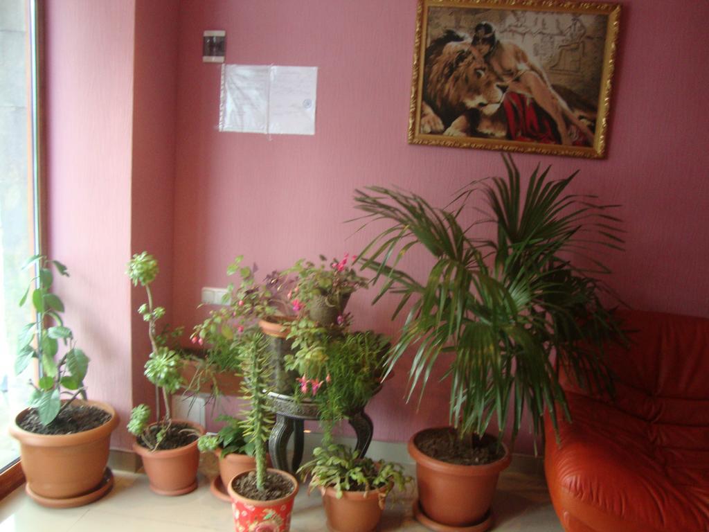 Hotel Mira Goris Ngoại thất bức ảnh