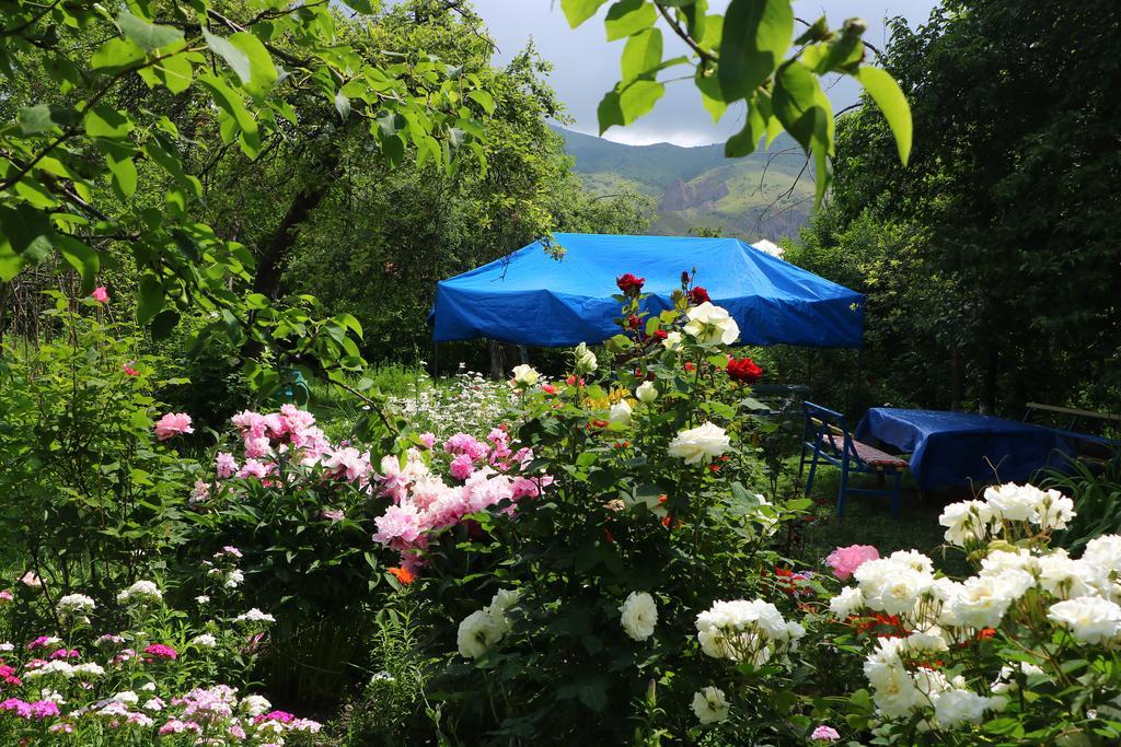 Hotel Mira Goris Ngoại thất bức ảnh
