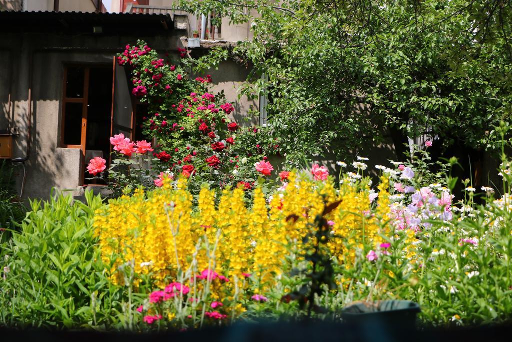 Hotel Mira Goris Ngoại thất bức ảnh